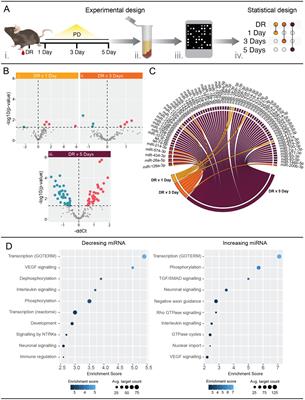 Serum miRNA modulations indicate changes in retinal morphology